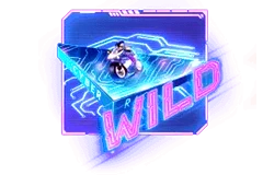 สัญลักษณ์พิเศษ WILD CyberRace