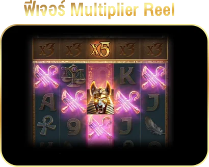 Multiplier Reel